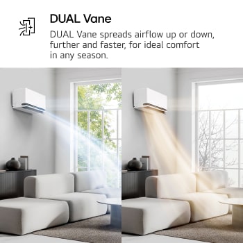 Dual Vane