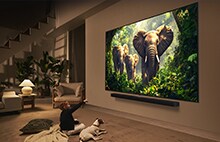 A girl and a dog are seated in front of a LG QNED TV mounted on a wall depicting three elephants walking outwards above a LG Soundbar.