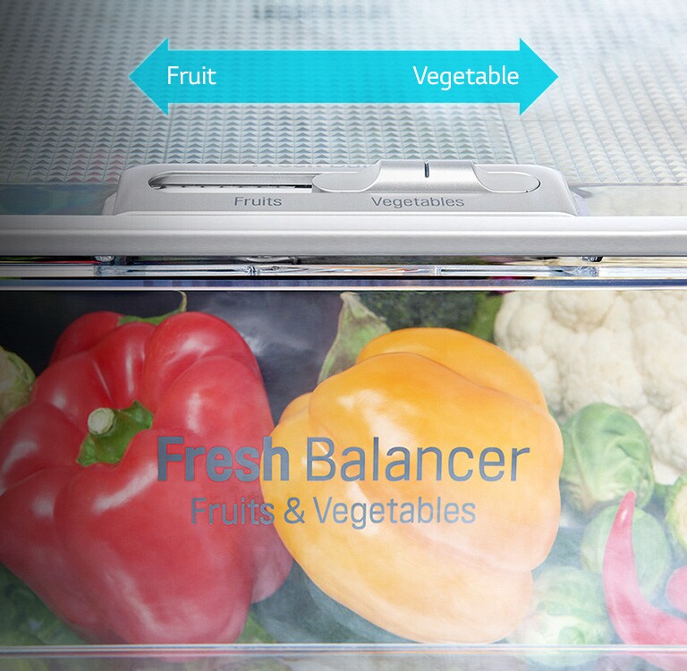 FRESHBalancer™1
