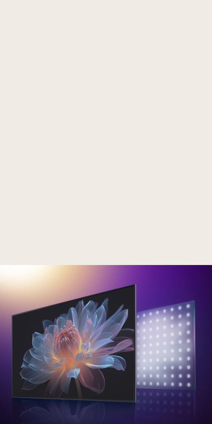 Tv-scherm met daarop een holografische bloem. Daarachter zien we een visuele weergave van LED-lampjes. Het gaat van grote LED-lampen naar kleinere en het holografische beeld van de bloem wordt ineens beter, wat laat zien hoe LG QNED evo het licht super precies kan regelen en zo voor een levendiger beeld met veel contrast zorgt.