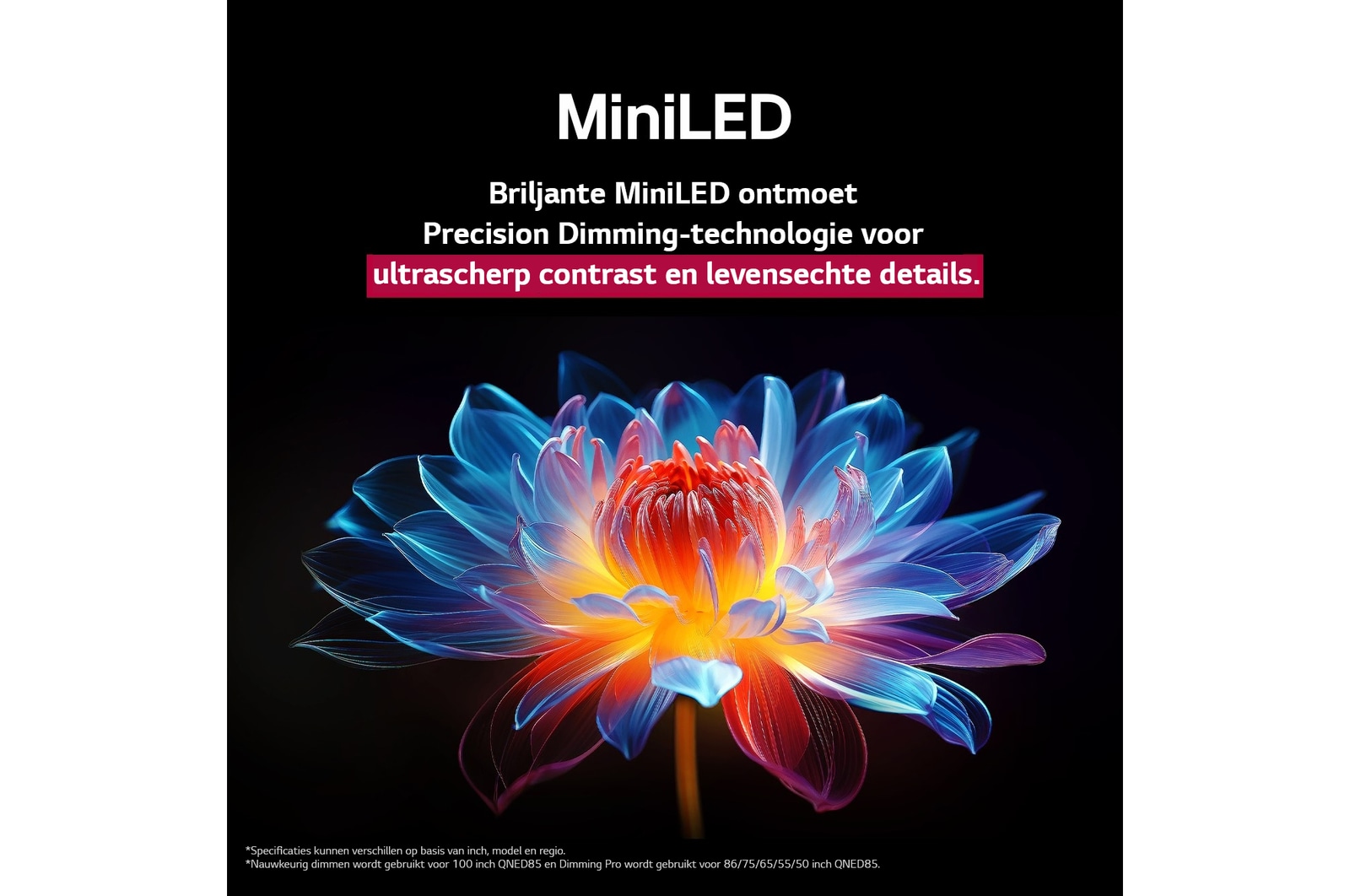 3D holografische bloem in veel verschillende tinten tegen een zwarte achtergrond. De definitie en het detail van de bloem laten zien dat QNED MiniLED beelden kan produceren met uitzonderlijke kleuren, helderheid en contrast. De titel vertelt hoe MiniLED de helderheid verbetert en een uitzonderlijk contrast biedt.