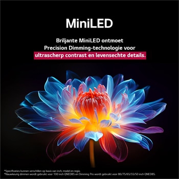 3D holografische bloem in veel verschillende tinten tegen een zwarte achtergrond. De definitie en het detail van de bloem laten zien dat QNED MiniLED beelden kan produceren met uitzonderlijke kleuren, helderheid en contrast. De titel vertelt hoe MiniLED de helderheid verbetert en een uitzonderlijk contrast biedt.