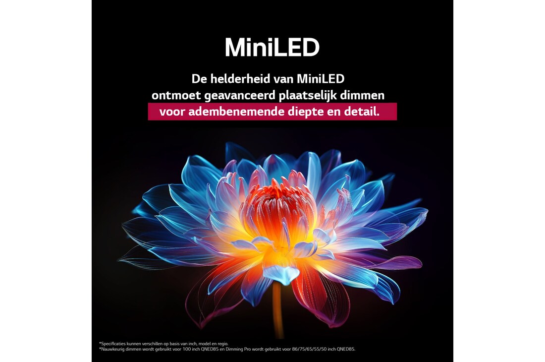 3D holografische bloem in veel verschillende tinten tegen een zwarte achtergrond. De definitie en het detail van de bloem laten zien dat QNED MiniLED beelden kan produceren met uitzonderlijke kleuren, helderheid en contrast. De titel vertelt hoe MiniLED de helderheid verbetert en een uitzonderlijk contrast biedt.