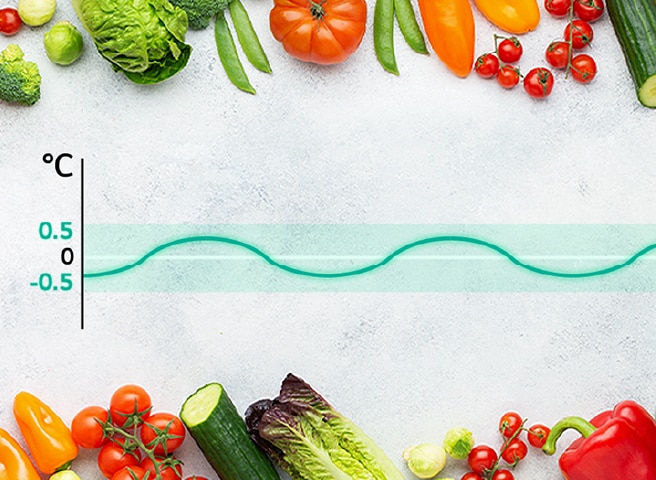Grafiek toont stabiele temperatuur bij groenten: schommelingen blijven binnen ±0,5 °C dankzij lineaire koeling.