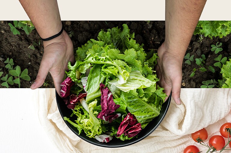 Boven: slaoogst op het veld. Onder: salade op bord. Groenten vormen samen één natuurlijk beeld.