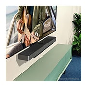 LG Soundbar voor TV met Dolby Atmos 3.1.3 kanaal DSC9S 2023, DSC9S