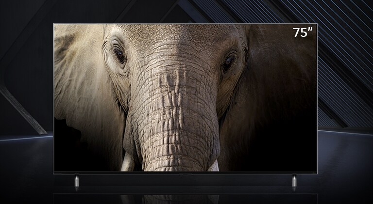 Een 75- en 86-inch ultragrote LG QNED Mini LED TV naast elkaar tegen een donkere achtergrond. De schermen tonen een close-up van een olifant.