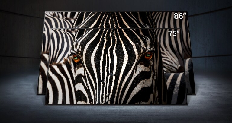 Een 75-inch LG NanoCell TV staat tegenover een 86-inch ultra-large LG NanoCell TV in een donkere ruimte. Op de schermen wordt een close-up afbeelding een zebra getoond.