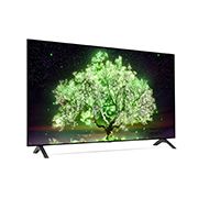 LG А1 48 inch 4K Smart OLED TV, OLED48A16LA