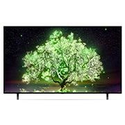 LG А1 65 inch 4K Smart OLED TV, OLED65A16LA