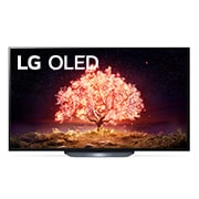LG B1 65 inch 4K Smart OLED TV, OLED65B16LA