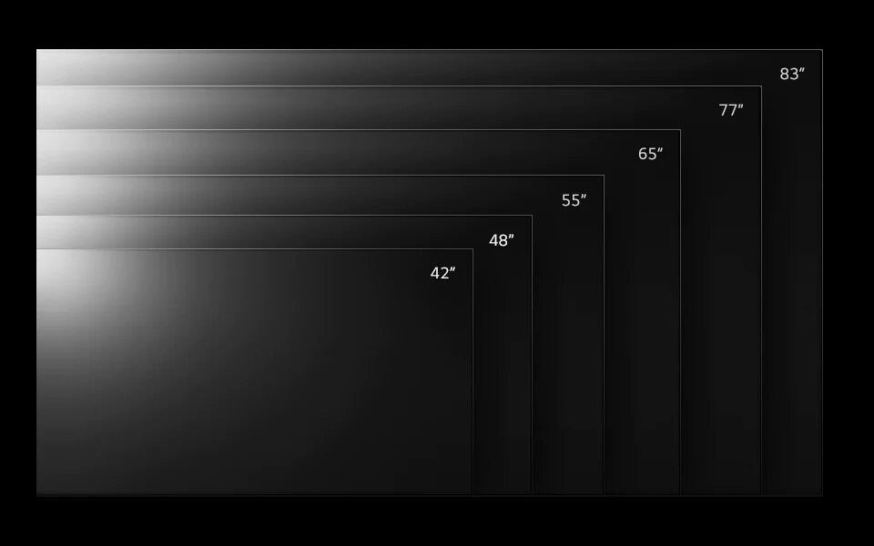 Diagram of different screen sizes in the LG OLED evo range