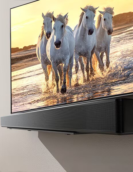 Een TV en soundbar staan op een plank met een scherm dat een afbeelding weergeeft van een wit paard dat over een blauw strand galoppeert.	