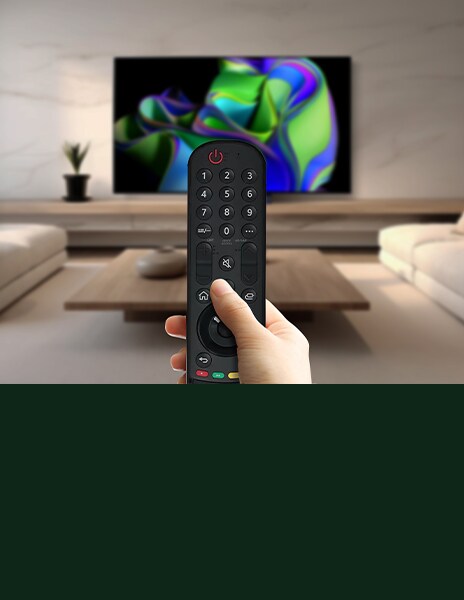 TV Remote Controller