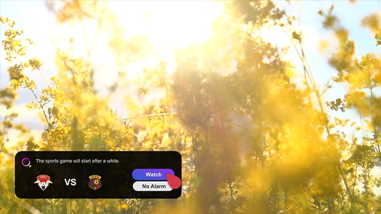 Una pantalla muestra un prado con flores silvestres amarillas y hay una ventana emergente de notificación de alerta deportiva en la esquina inferior izquierda que muestra el puntaje actual. Un cursor hace clic en el botón Ver y la escena cambia para mostrar el partido de fútbol. 