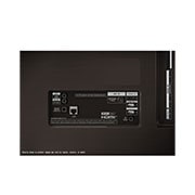 LG 55 Pulgadas LG OLED evo AI C4 4K Smart TV 2024, OLED55C4PSA