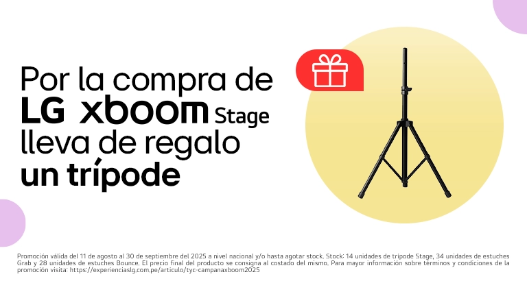 stage301
