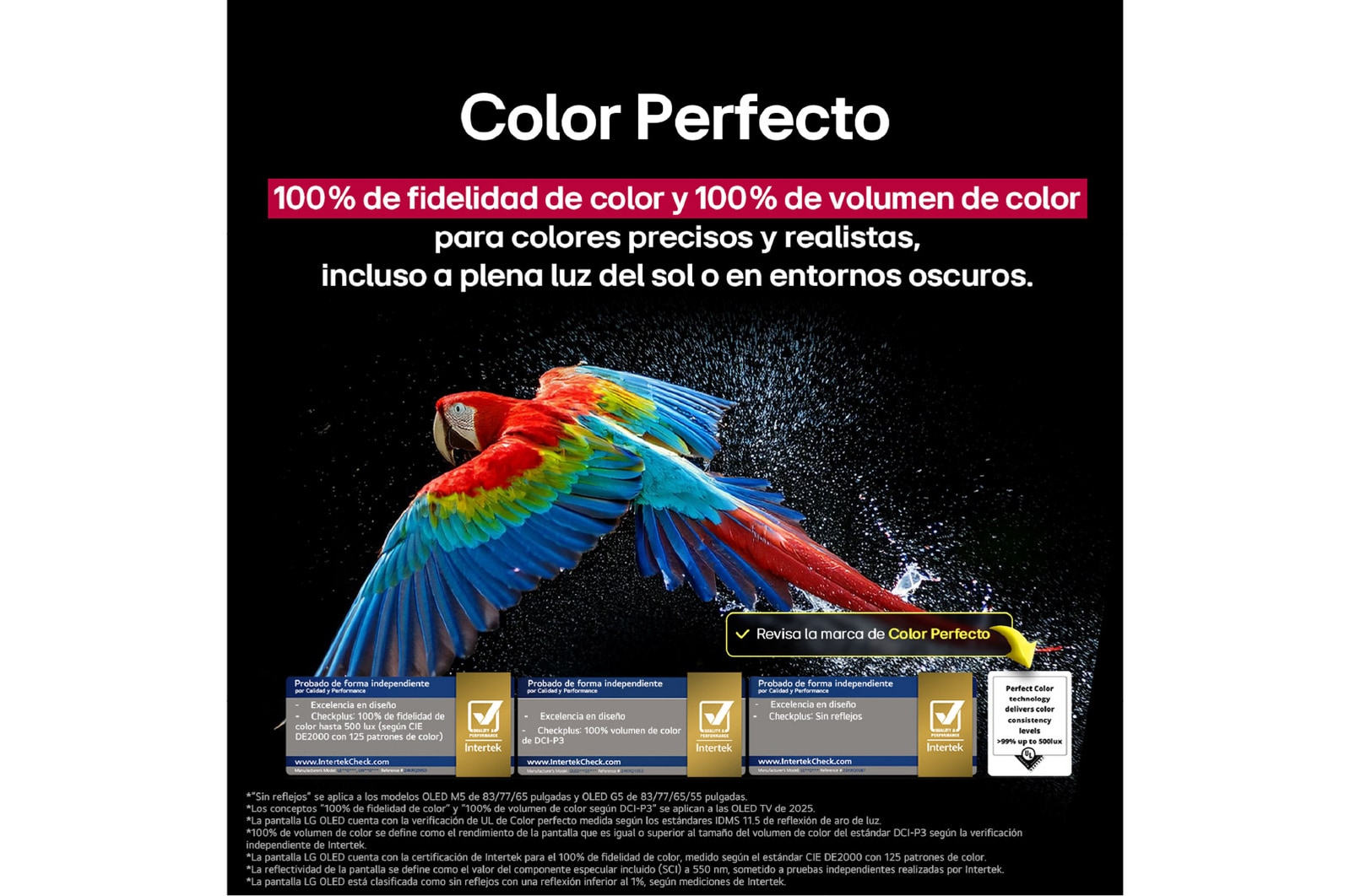 Un loro colorido en ultra alta definición sobre un fondo negro. 