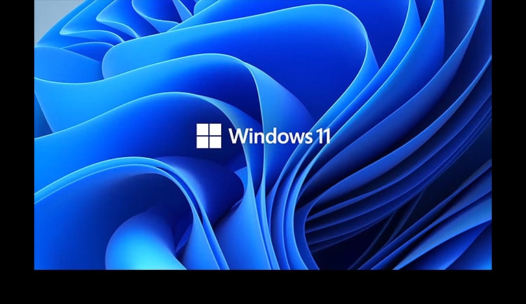 Muestra el logotipo de Windows11 y la imagen de fondo.