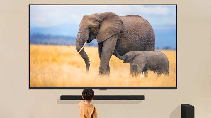 Un niño está de pie delante de una televisión grande que muestra una imagen de dos elefantes, uno adulto y otro bebé, caminando por un campo cubierto de hierba.