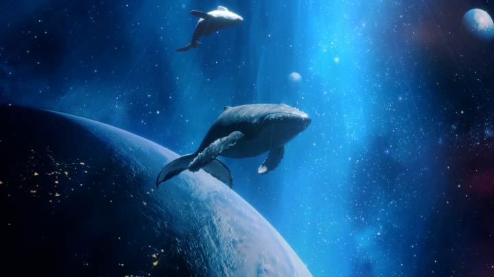 Dos ballenas nadan en una galaxia de color azulado entre planetas. El video se aleja lentamente para mostrar una LG QNED TV montada en la pared y una LG Soundbar con soporte Synergy en la pared de una acogedora sala.