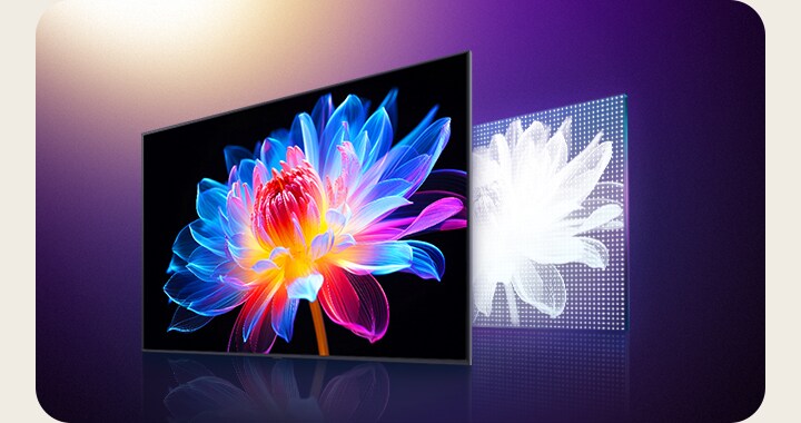 Sequence showing how MiniLED renders better visuals compared to other conventional LEDs. An LG TV screen with a 3D holographic flower is against a dark background. Behind the TV is a graphic representation of how conventional LEDs are positioned on the screen. The LEDs are large and few. The flower is drab and gray. Transition to MiniLED where the flower is brighter, more saturated, and has great contrast. The MiniLED graphic representation also shows tinier LED lights in greater quantity on the screen.