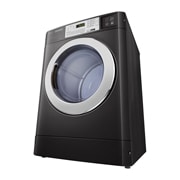 LG 10KG Standard Capacity Dryer, CDG27RUCPB
