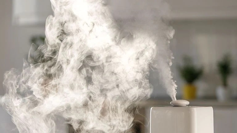 /ph/images/BUSINESS/which-humidifier-can-help-you-combat-a-dry-home/bloglistpage-thumnailimage.jpg