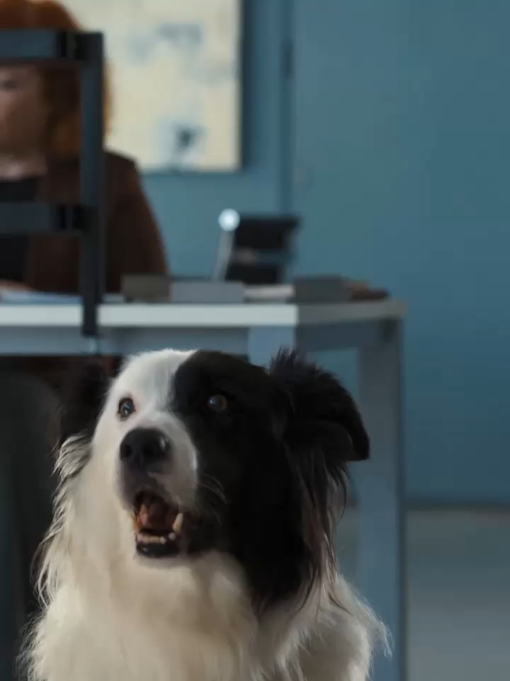 Another man wrinkles his nose and touches it, seemingly reacting to a bad smell.Behind the dog, the LG Puricare air purifier comes into view. The man gestures in dissatisfaction, and a red light turns on in the air purifier.