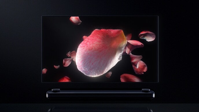 تمتلئ صورة الأزهار في شاشة تلفزيون LG SIGNATURE OLED TV W.