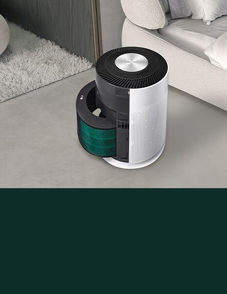 This is a picture of the LG air purifier filter