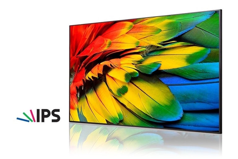 Most reliable panel in the market: Leading-edge panel technology