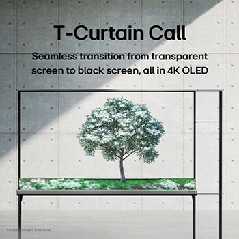 LG SIGNATURE OLED T displaying a green tree that’s been snowed on.