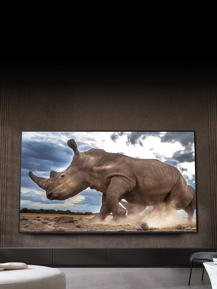 A rhinoceros in a safari setting is shown on an Ultra Big LG TV, mounted on the brown wall of a living room surrounded by cream-colored modular furniture.