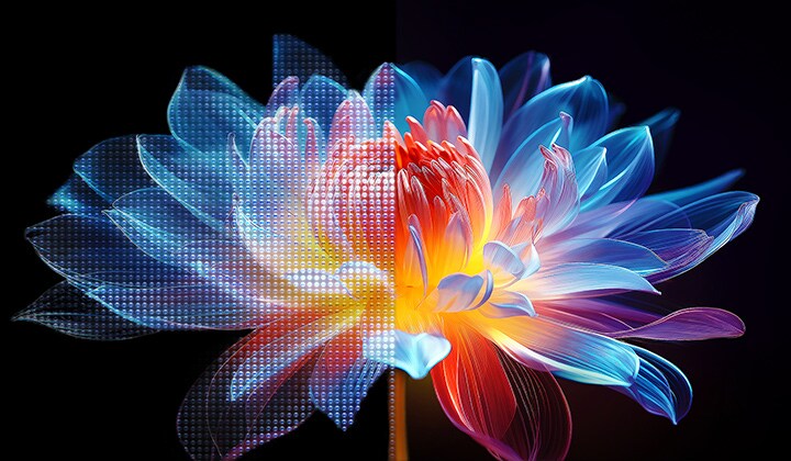 A flower is depicted in full bloom. The screen splits in half to show a grid overlay above the left side of the flower and the right side of the flower is in vivid red, yellow, blue, and purple.
