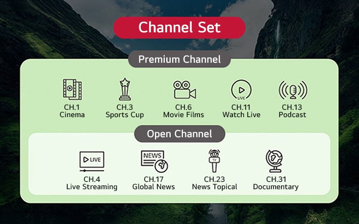 TV channels provided by the solution can be categorized into groups based on their types. This includes setting up both standard TV channels and additional channels exclusive to premium customers.	