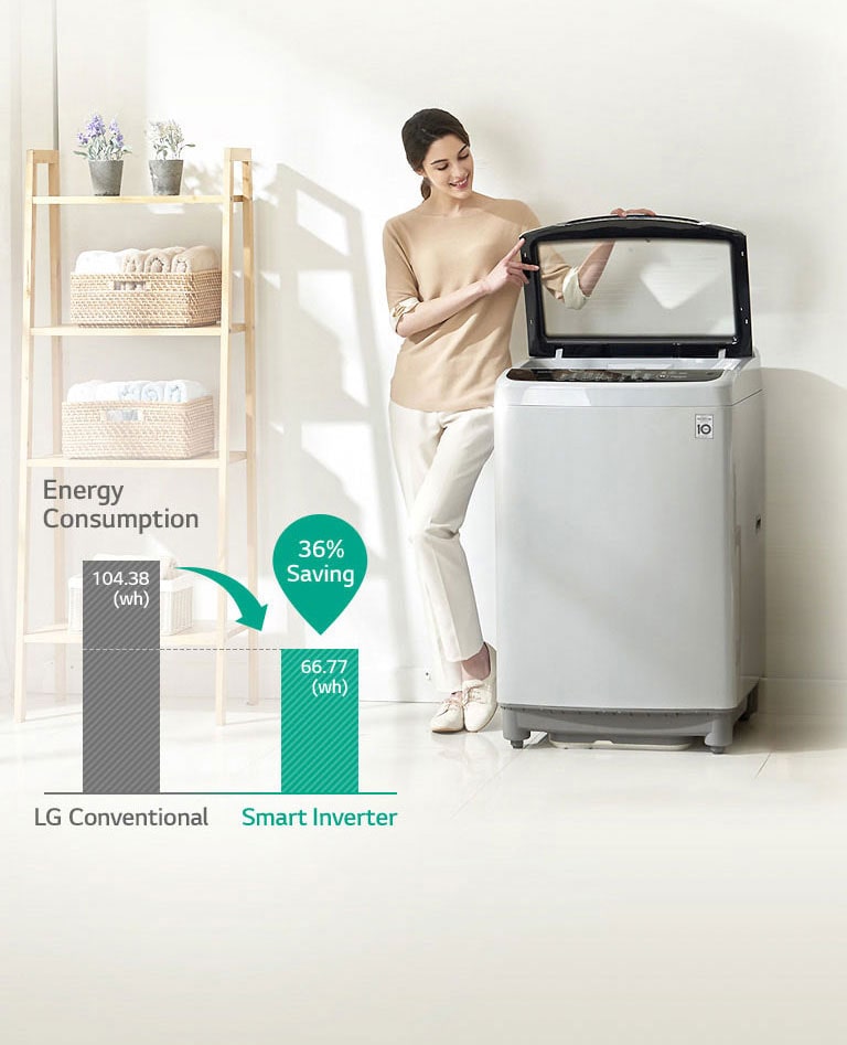 What is Inverter