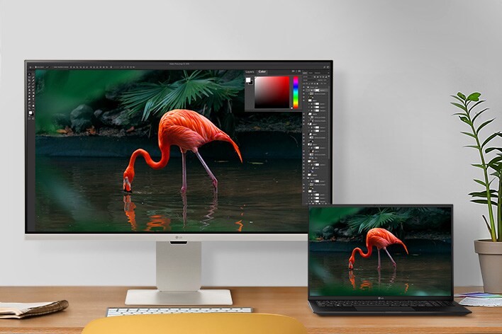 LG MyView Smart Monitor is being used as a secondary display connected to a laptop.