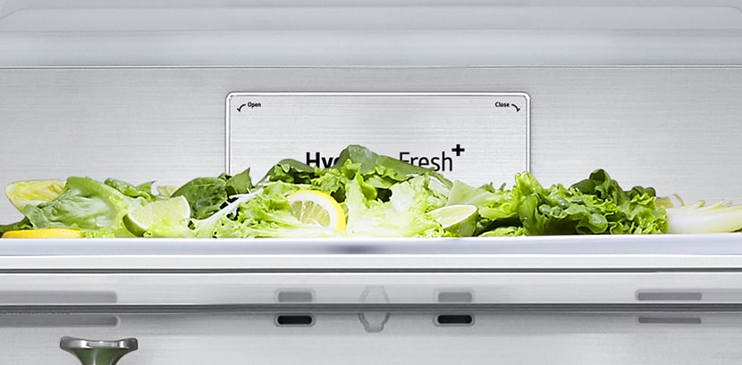 Close-up of metal fresh label inside the refrigerator.