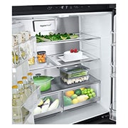 LG 508L InstaView® Refrigerator in Essence Matte Black, GF-G4534EP