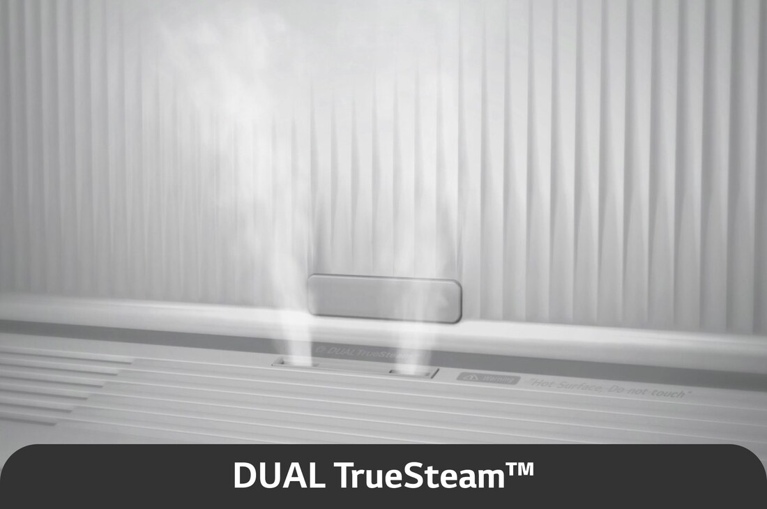 DUAL True Steam®
