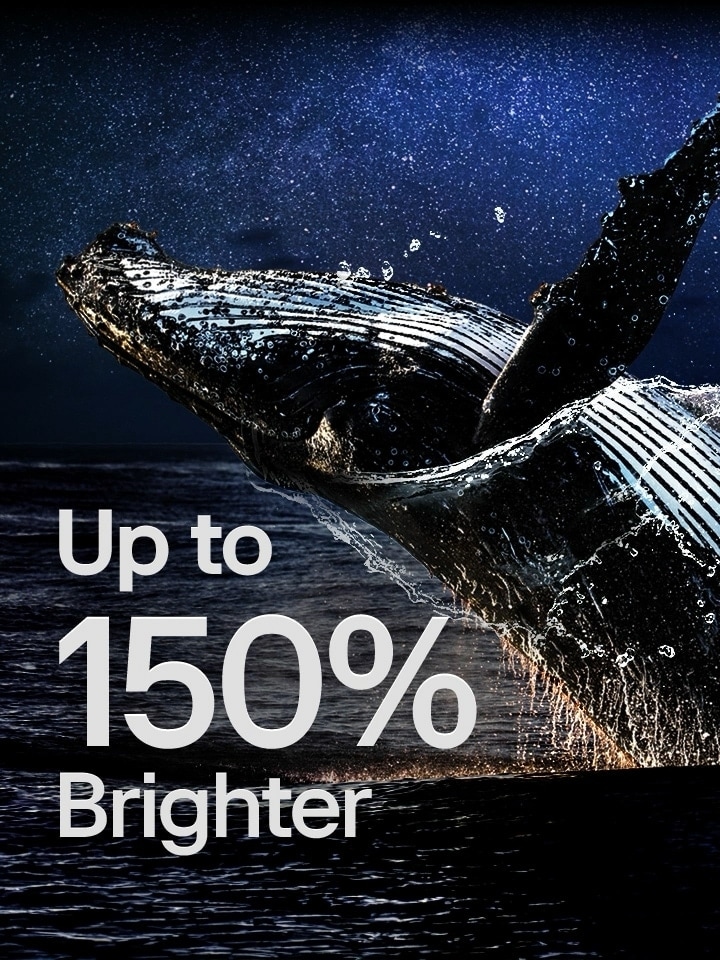 A whale jumping out of the ocean against a black backdrop. The words "up to 150% brighter" appear above the whale and becomes brighter.