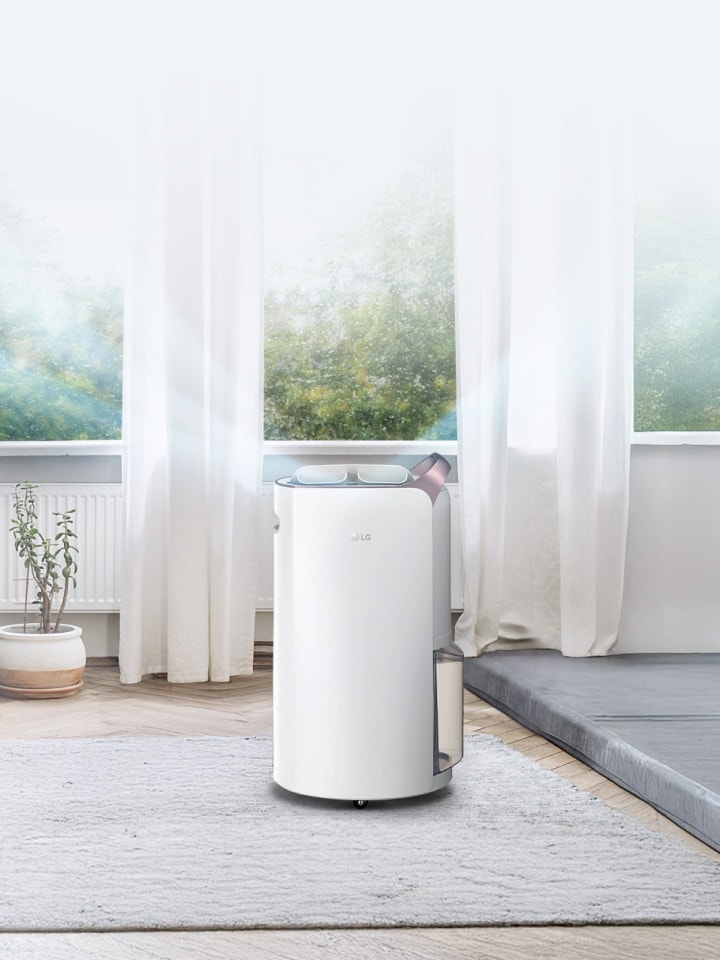 Don't Let The Rainy Days Dampen Your Home