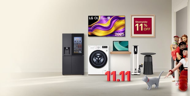 11.11 Deal Hunt Sale