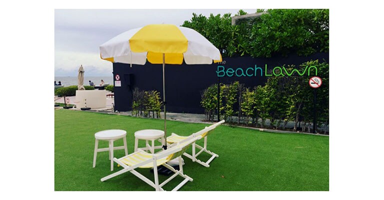 The Beach Lawn 