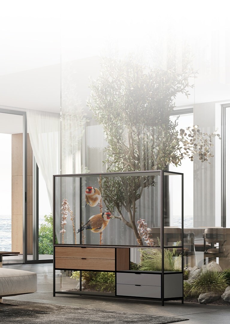 Transparan OLED Afişi