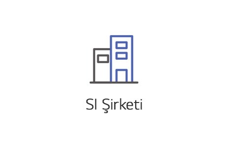 SI Şirketi