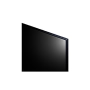 LG webOS UHD 顯示器, 55UL3J-N