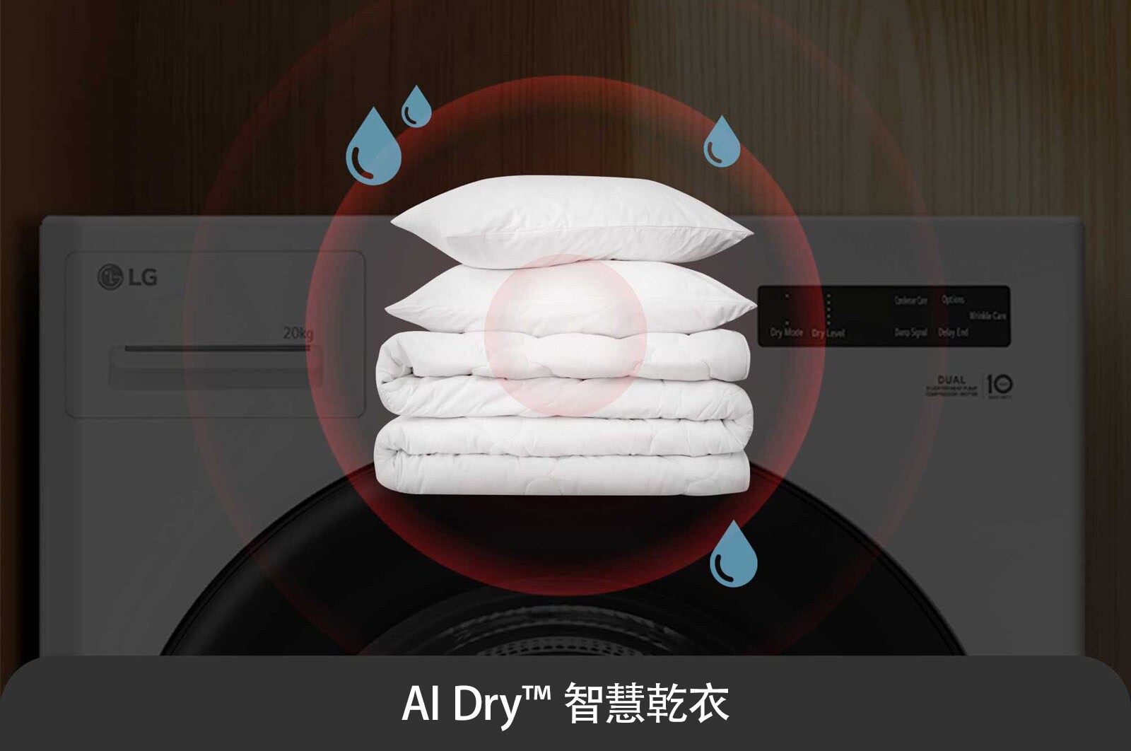 LG 20公斤 AI 免曬衣乾衣機｜雙變頻熱泵除濕｜冰瓷白, WR-20DW