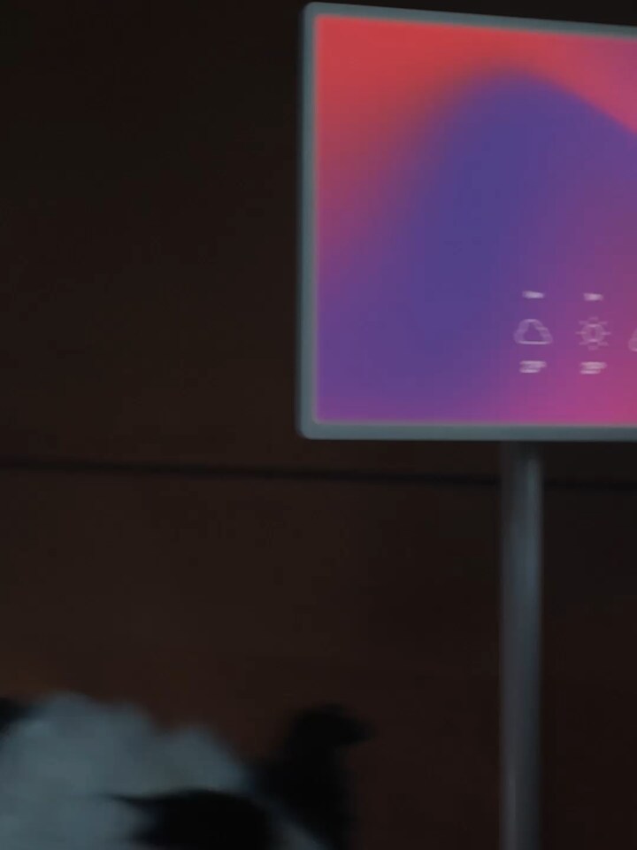 一隻狗走過正在顯示「Good morning」字樣的 LG StanbyME 螢幕前。